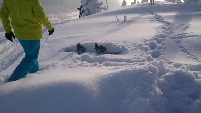 Шерегешский снег