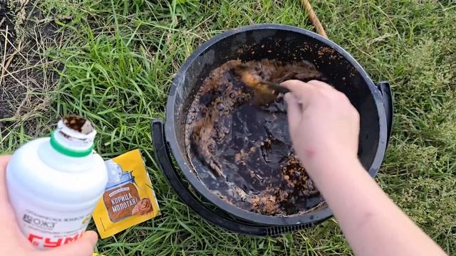 2 ложки – и огурцы с томатами растут как бешеные! смотреть онлайн