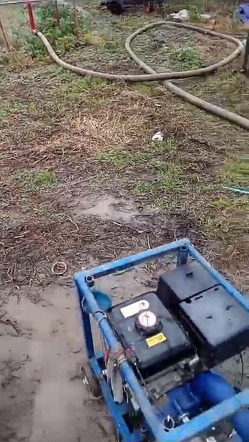 МОТОПОМПА ДЛЯ ГРЯЗНОЙ ВОДЫ‼️#бурение#полив#помпаюг# смотреть онлайн