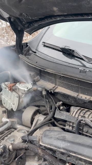 Сливаем ГАЗ #auto #engine #kharkov #сто #lpg #гбо #установкагбо #top #a смотреть онлайн