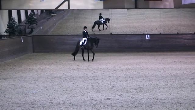 ЭКВИ-1. Обзор езды. смотреть онлайн