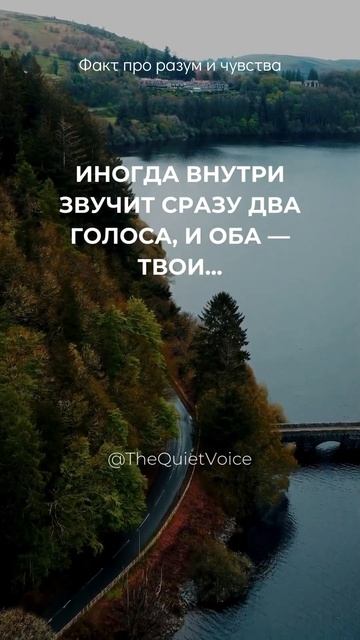 Иногда внутри звучит сразу два голоса, и оба — твои...