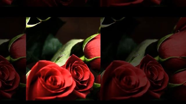 С Днём Рождения, Томочка! смотреть онлайн