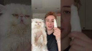 Кот Лёша💗(старые и новые видео)