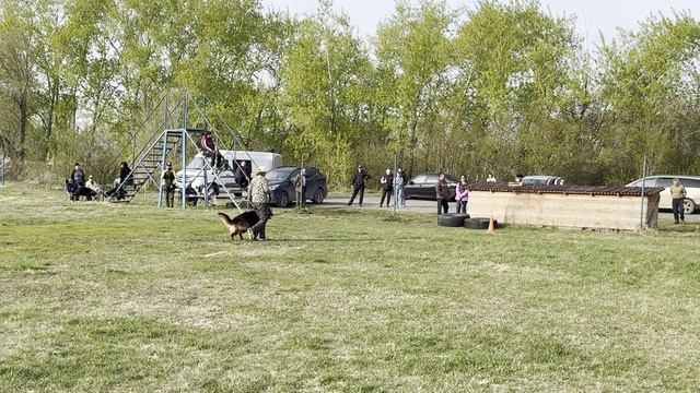 1.  выр/пож АЛЛЕМО ХАУС ОКСИОН (Варгас из Белого Яра – Аллемо Хаус Люция)