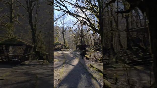 Навалищенское ущелье, #сочи январь 2025 смотреть онлайн