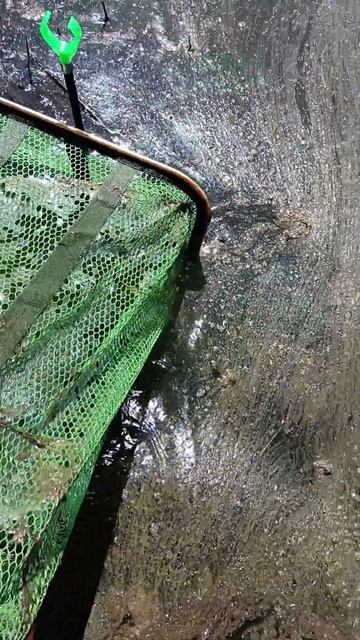 #Макс Pop-up#Рыбалка# Донская Царица#знакомство со снастя