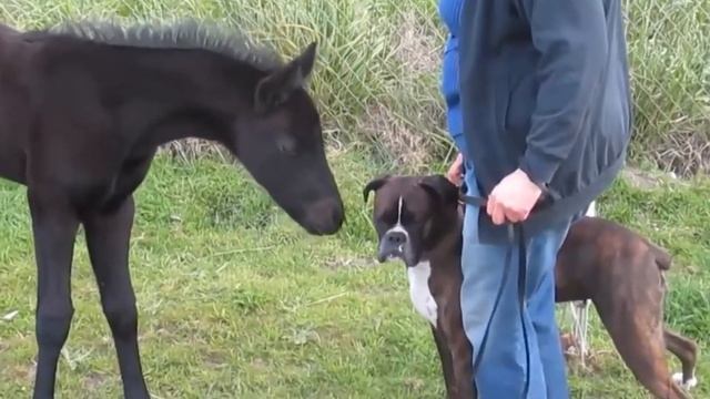 С Днем Святого Валентина смотреть онлайн
