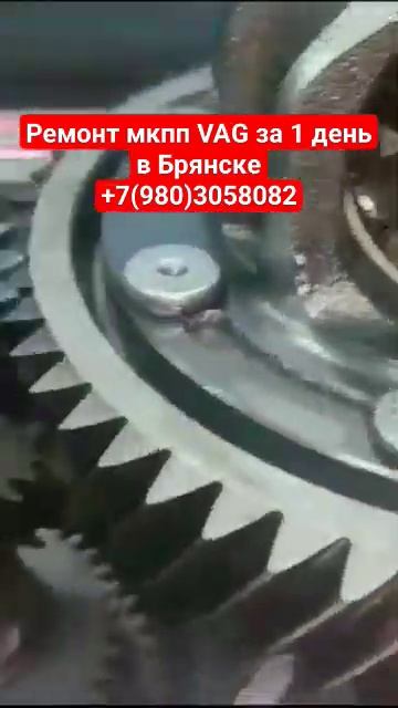 #Ремонт мех коробок передач #SKODA #VOLKSWAGEN #SEAT #AUDIA3 за 1 день смотреть онлайн