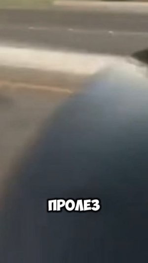 Это один момент на миллион #zloered #момент