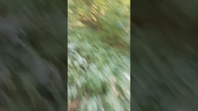 я подумала что там бензопила включилась смотреть онлайн