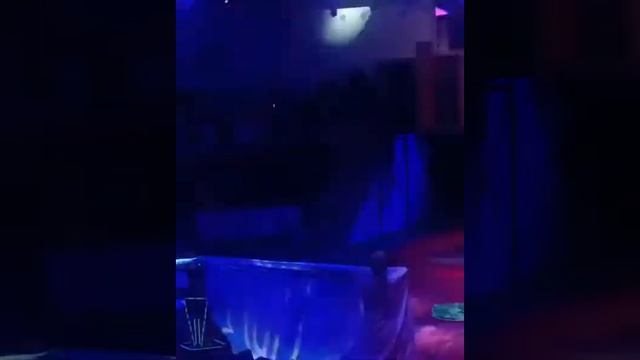 Волшебство цирка
