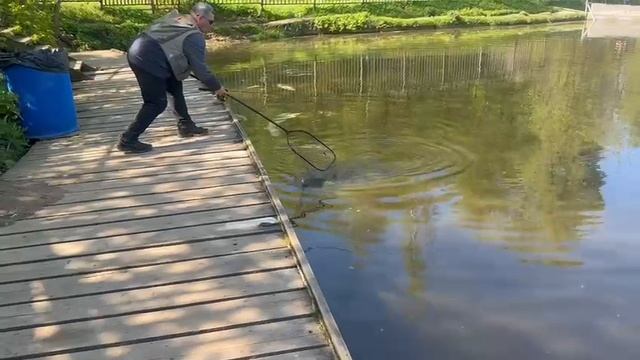 Спорт зона смотреть онлайн