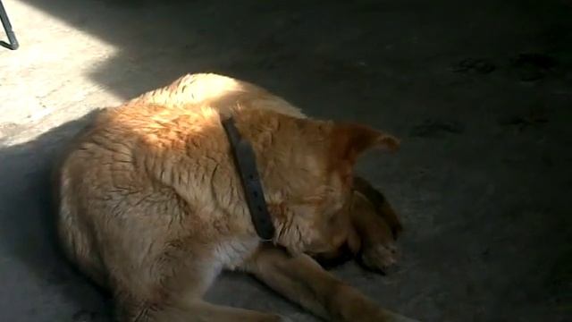 ПРИКОЛ ешь пей жуй орбит СТОИТ ПОСМОТРЕТЬ смотреть онлайн