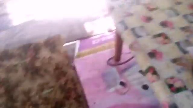 Лучший домик на дереве! смотреть онлайн