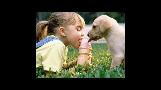 Дети и животные смотреть онлайн