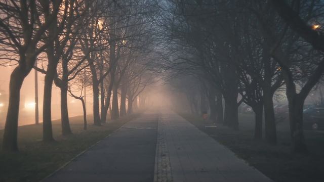 Грабитель отобрал у девушки сумку, а когда заглянул в неё, остолбенел. смотреть онлайн
