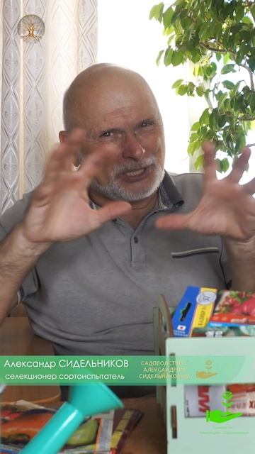КАК ОПРЕДЕЛИТЬ ВСХОЖЕСТЬ СЕМЯН ? смотреть онлайн