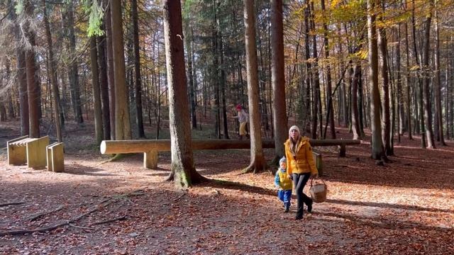 Чем занять ребёнка в лесу.