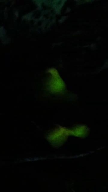 Сила граната 🔪🔪🔪🔪🔪💪💪💪💪💪💪💪