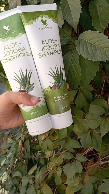 алое шампунь с кондиционером смотреть онлайн