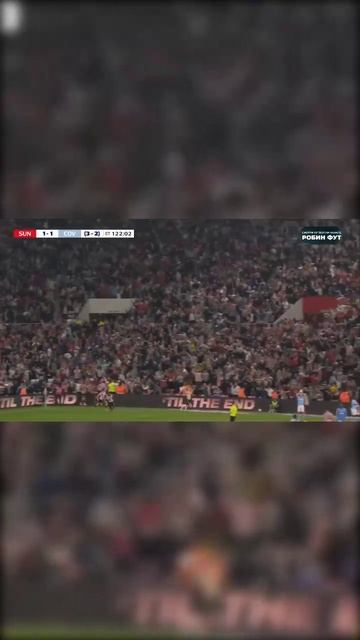 Сказка Сандерленда!