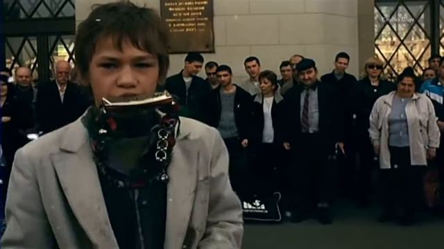 Светлана Питерская Серые цветы Студия Шура шансон новые клипы 2015 смотреть онлайн