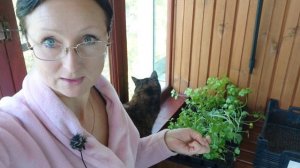 Видео привет с балкона 15 мая 2025 года. Рассада готовится к переезду.Томится.