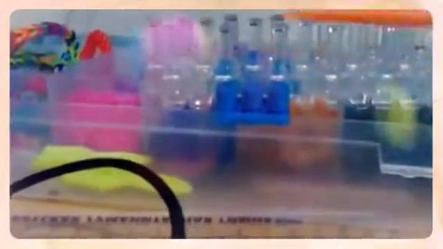 лум бенс (Created with @Magisto) смотреть онлайн