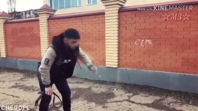Чеченский прикол сын курильщик смотреть онлайн