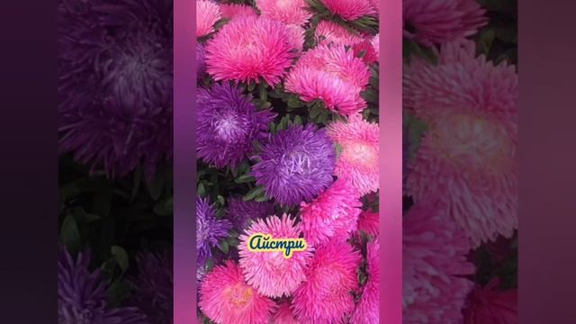 Чигиринова Катерина Михайлівна, дидактична гра 