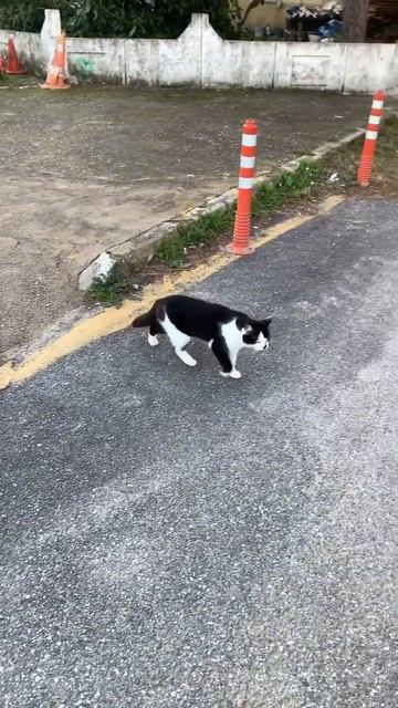 Угадай в какой стране небольшой городок) смотреть онлайн