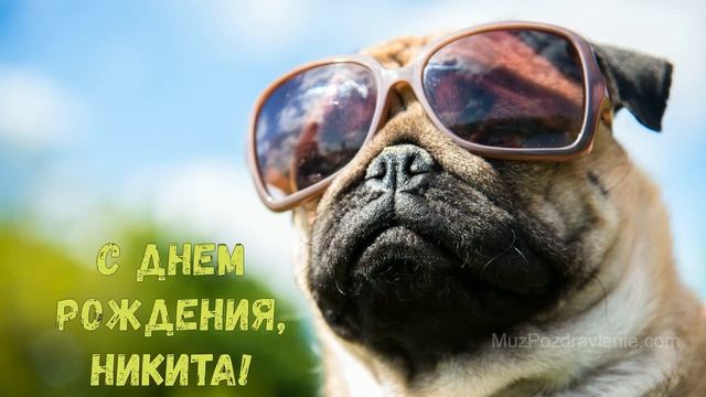 С Днем рождения, Никита! смотреть онлайн
