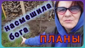 Чем подкормить садовую землянику, чеснок, огурцы и кустарники. Каждому своë!