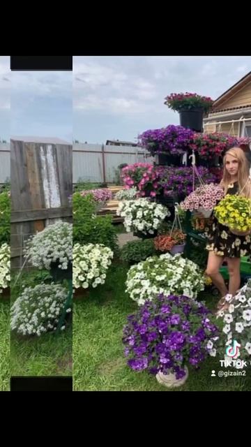 Пышное цветение в летнем саду смотреть онлайн