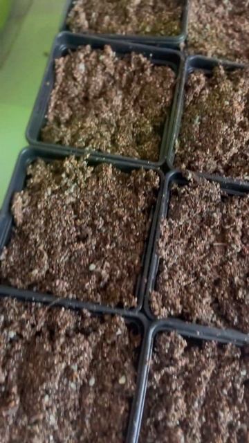 Несмотря на проблемы с ручками,обожаю работать с цвет? смотреть онлайн