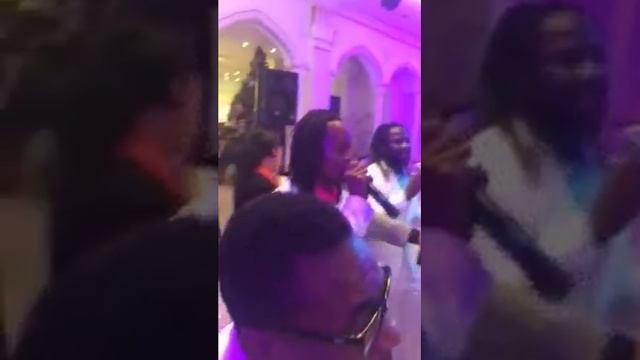 Килиманджаро шоу Г. Астана +77055992281