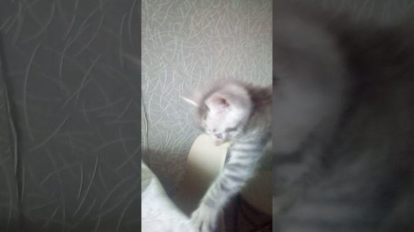 Новое видео УРАААААААААА! 😜😉🤣🐱🐈😊🤫😘😍🫨🫨🫨😵💫😵💫🥹🥹😦😧😧😨😨😰😰😩😥😢😢😭😭😱😱😱😖😣