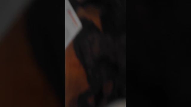 В дино зале😍😍😍 смотреть онлайн