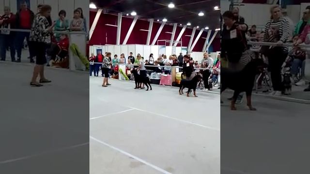 29 октября 2019 г. смотреть онлайн