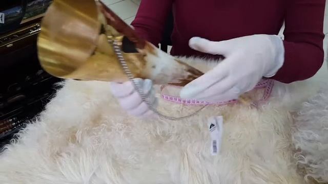 Кавказский рог бычий рифленый арт.9006 в магазине КавказСувенир.ру смотреть онлайн