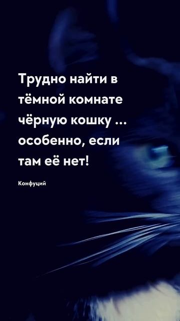 Её там нет - цитата Конфуций Цитаты - мудрость жизни #му смотреть онлайн