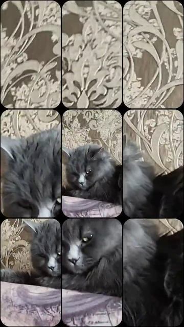 3 марта 2023 г. смотреть онлайн