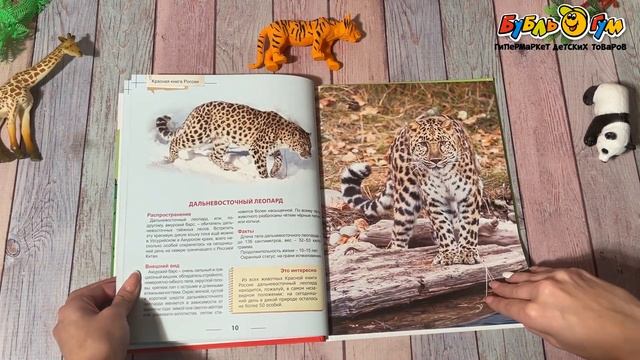 Энциклопедия для детей Красная книга России смотреть онлайн