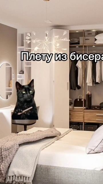 Как проходит мой день #кот #shorts #школа #врек #приколы #веселуха смотреть онлайн