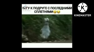 Dss video life 2 😨 Марина Марина что случилось