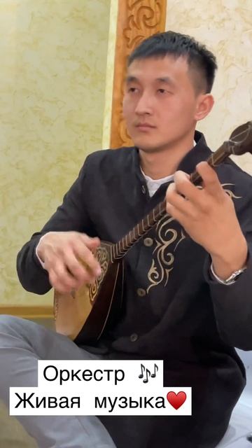 Живая музыка. Приветствуем гостей. Оркестр. Организация мероприятия 87759409500 смотреть онлайн
