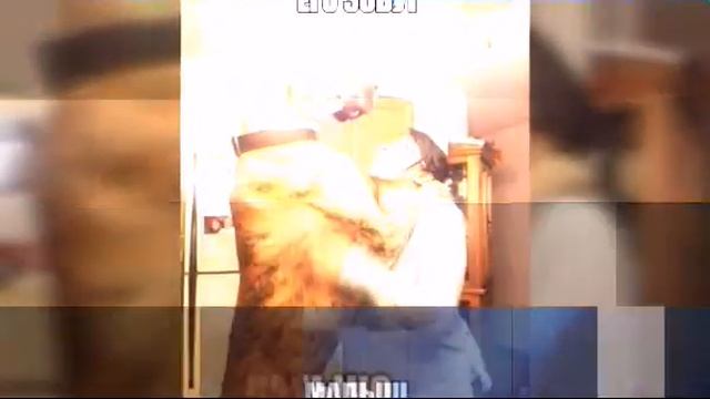 Как всегда реально прикольные шутки смотреть онлайн