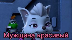 Комикс Щенячий Патруль "Гонщик умер" Грустный комикс