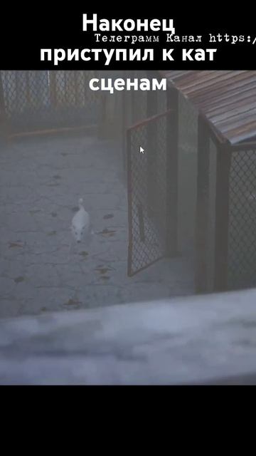 Настраиваю кат-сцены #ue4 #игры #animation #games #анимация #катсцены смотреть онлайн